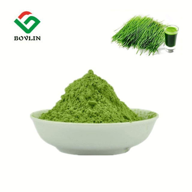 Organic Wheat Grass Powder