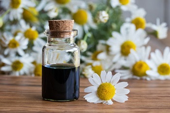 What is chamomile essential oil?