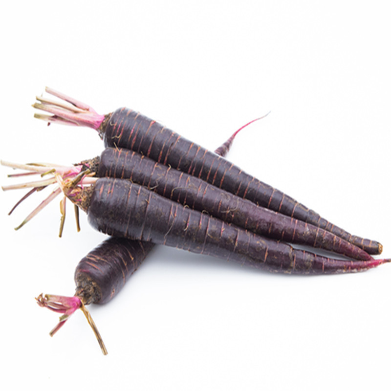 What are the benefits of black radish extract Powder? Bovlin