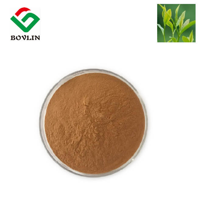 Tea Polyphenol