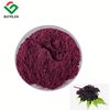 Elderberry Juice Powder