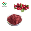 Cranberry Fruit Juice Powder