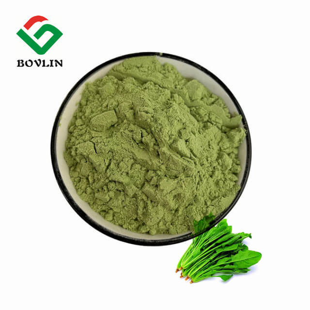 Spinach Powder for Sale