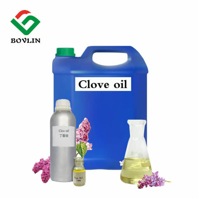 Buy Clove Essential Oil