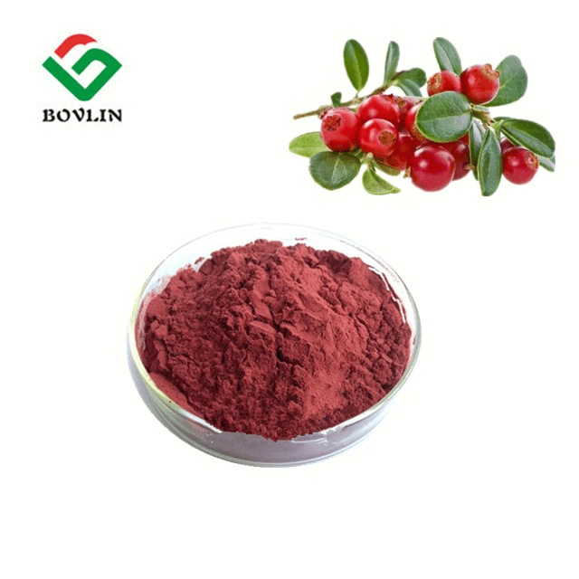 Cranberry Fruit Juice Powder for sale Bovlin