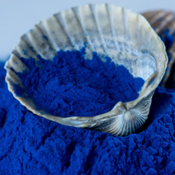 What Is Phycocyanin?