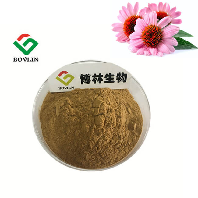 Echinacea Extract